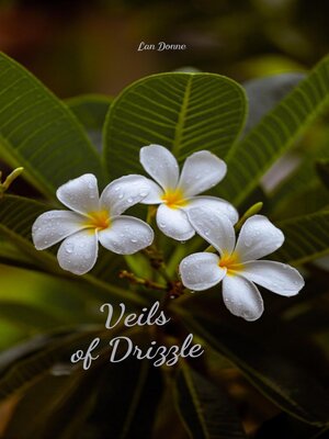 cover image of Veils of Drizzle